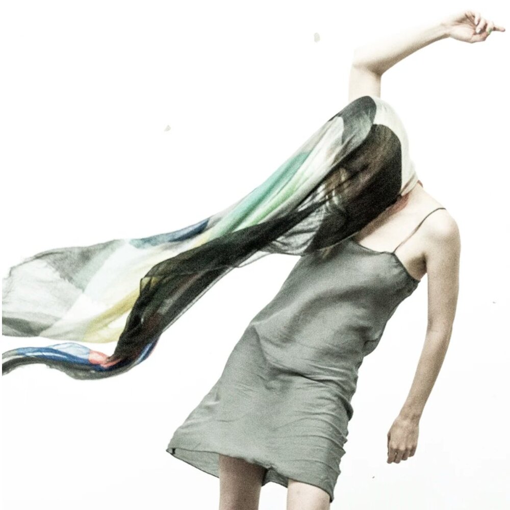 Hi Definition Color Bar Scarf